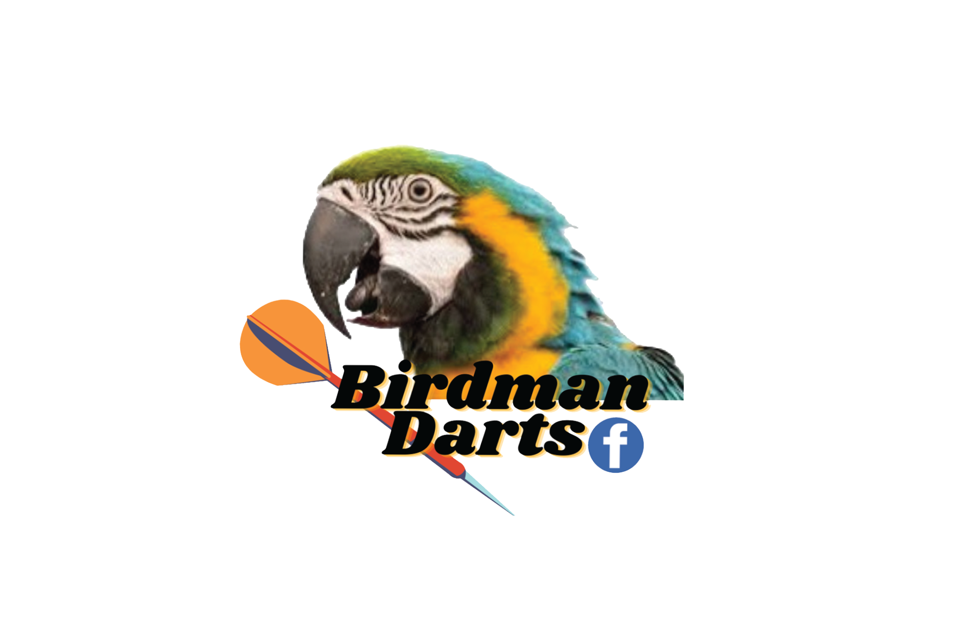Birdman Darts
